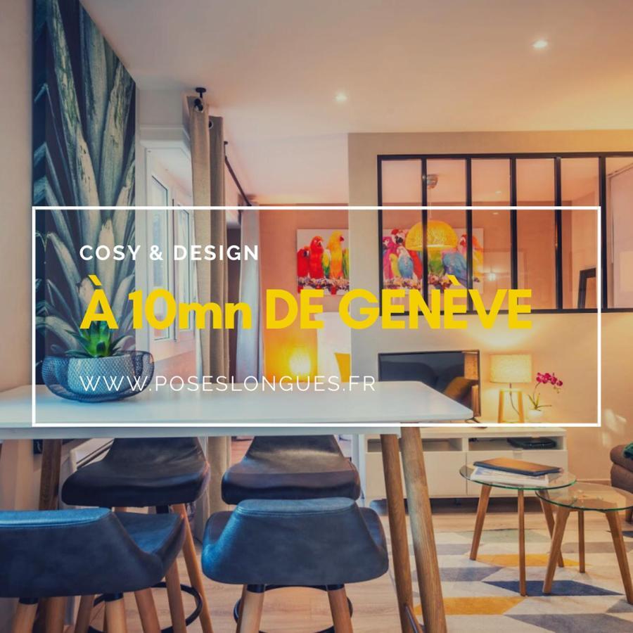אנמסה Le Chatelet- Parking Gratuit - Cosy Et Design - A 10 Mn De Geneve מראה חיצוני תמונה
